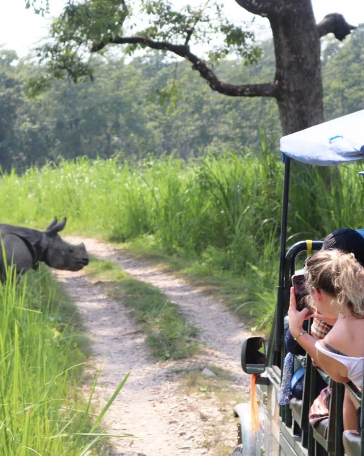 Explore Chitwan National Park